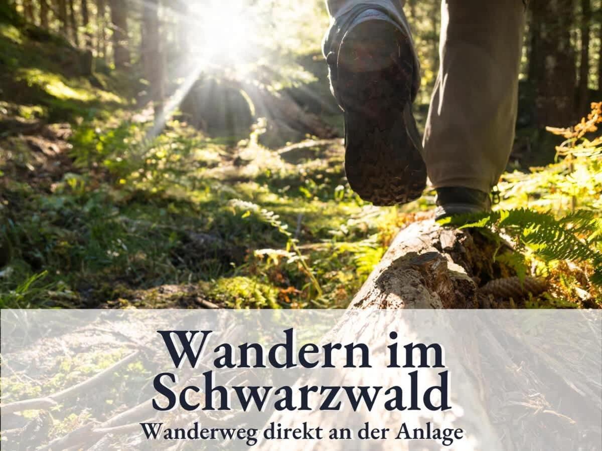 Schonach 66 Mit Indoor-Pool, Sauna, Kueche Und Netflix Schonach im Schwarzwald Экстерьер фото